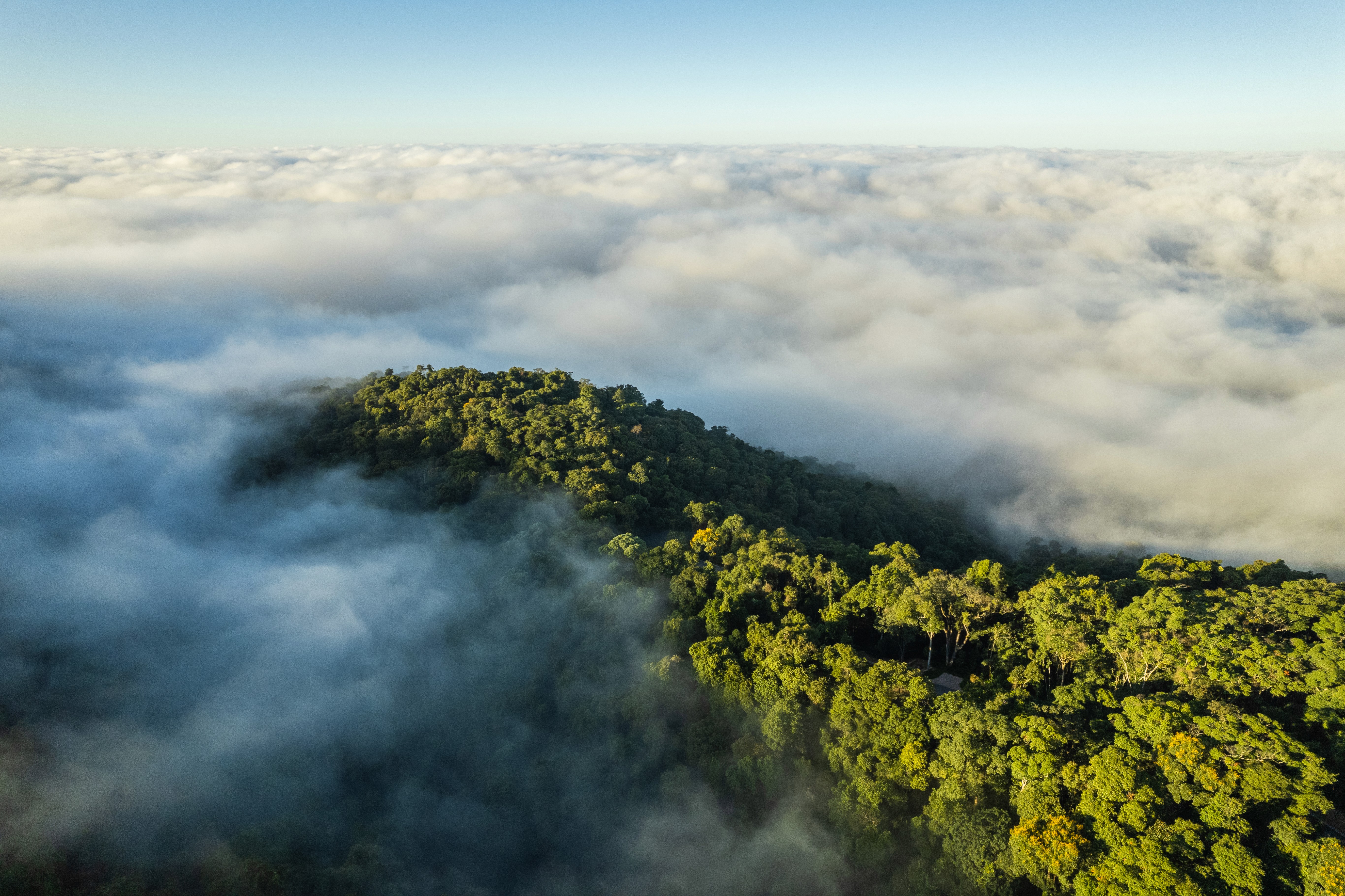 Hero Background Image