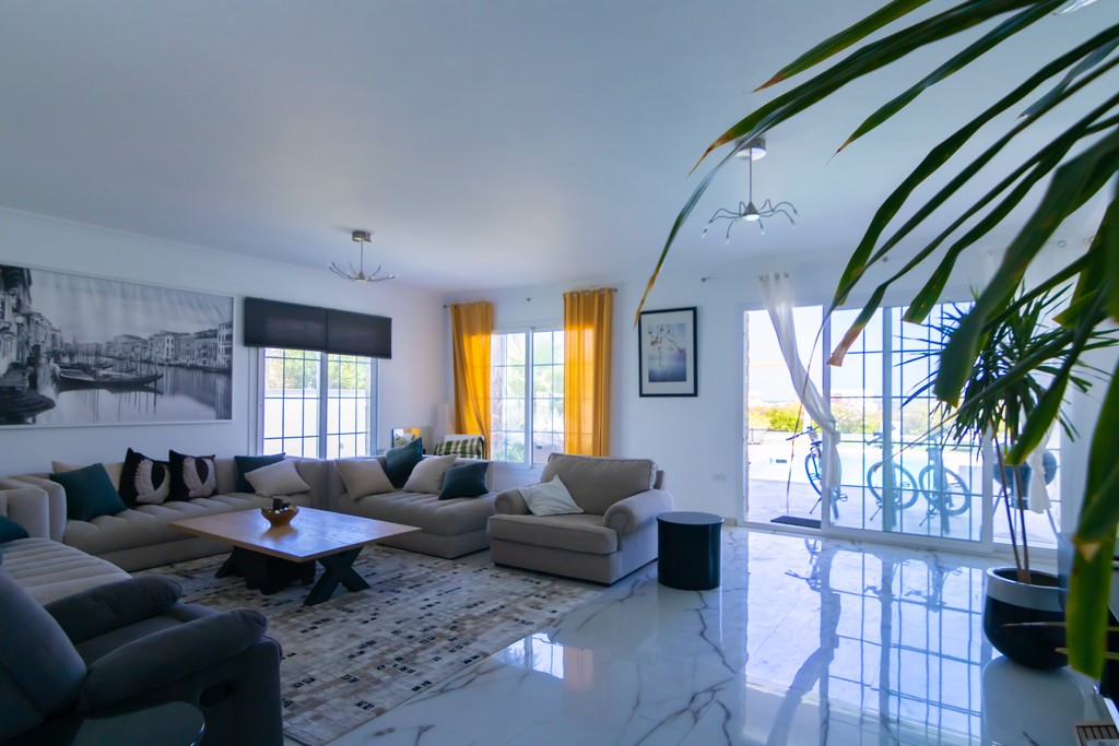 houses surrounded with plants