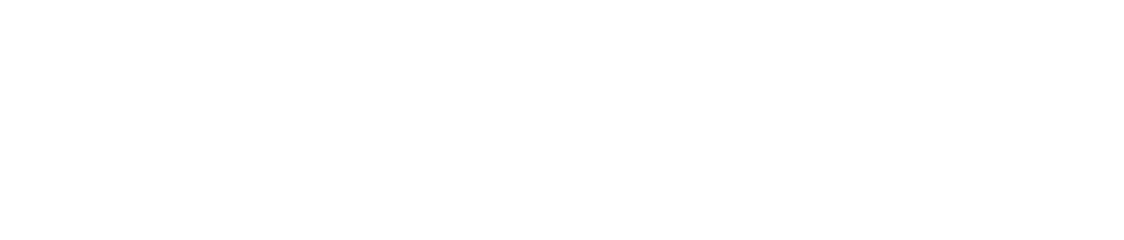 Nietzsche Logo