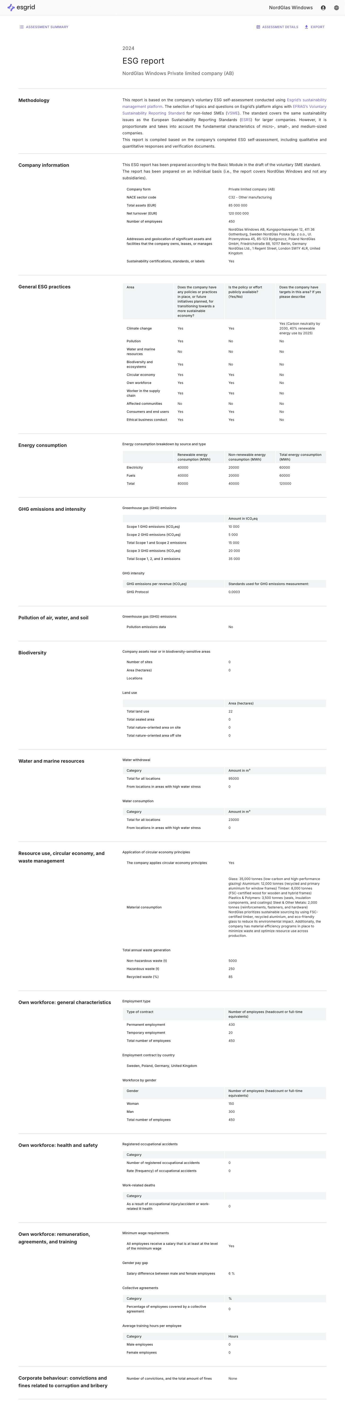vsme esg report example in esgrid