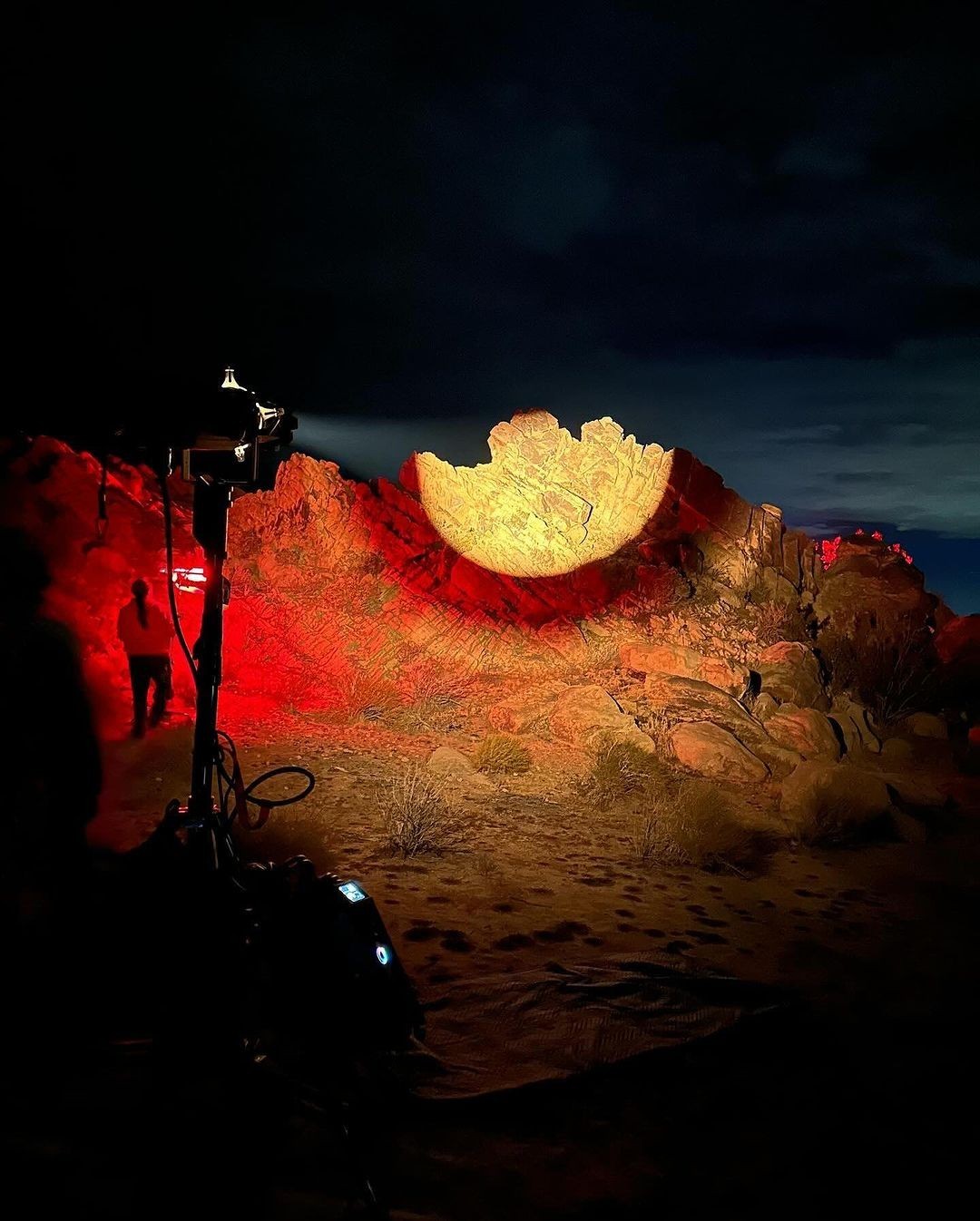 A green butterfly rests on a flower.