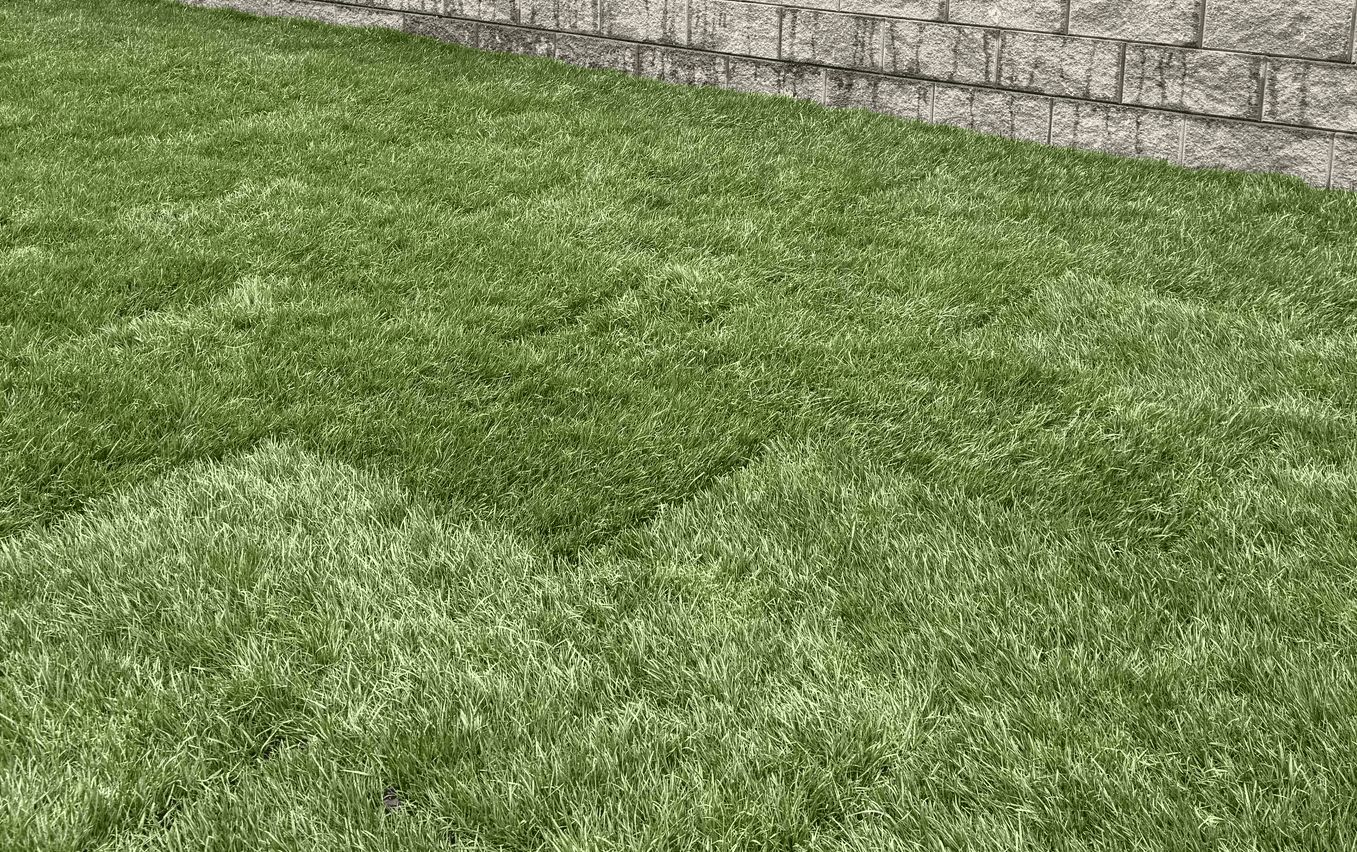 Green grass with a textured stone wall