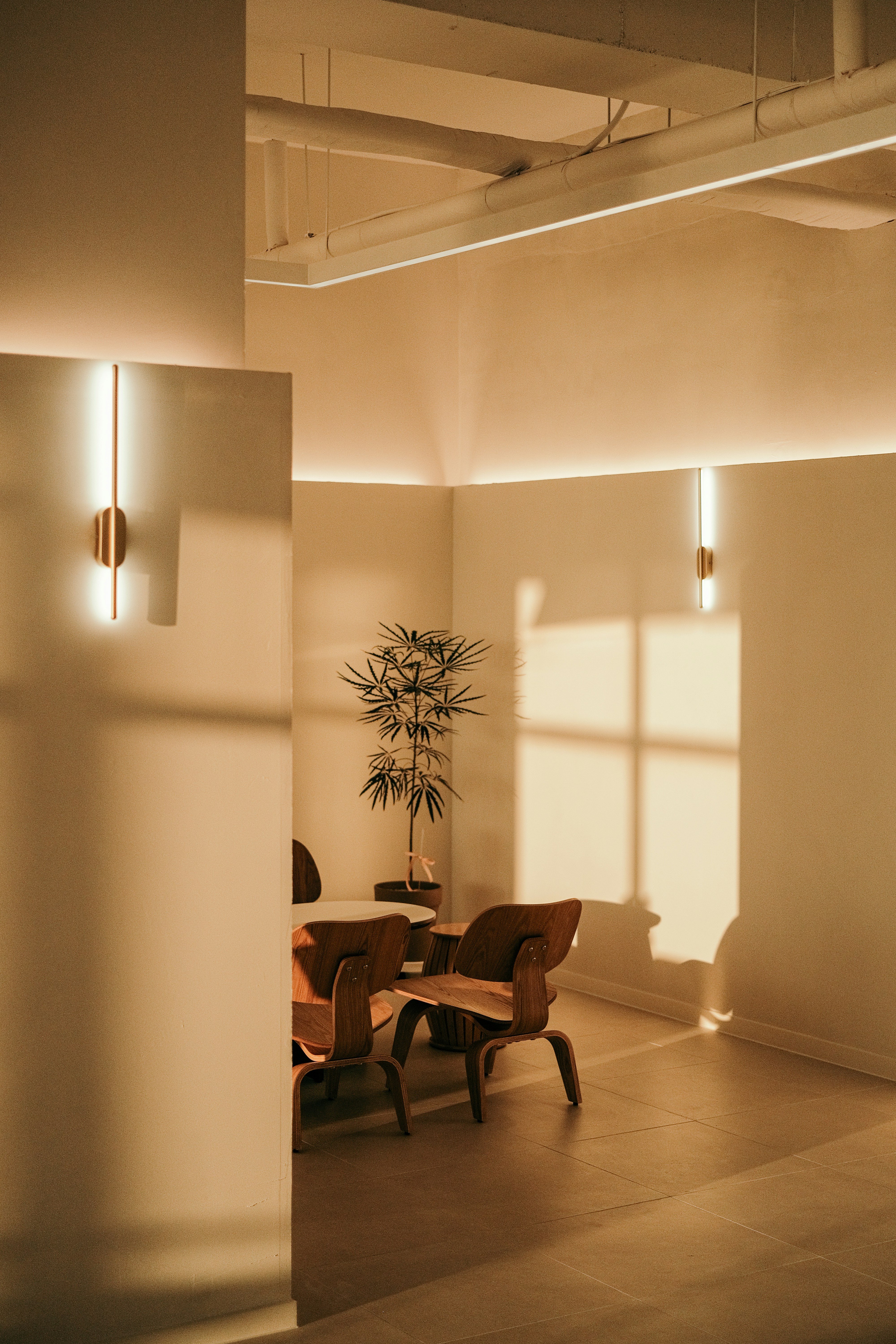 Modern office space with warm lighting and wooden chairs.