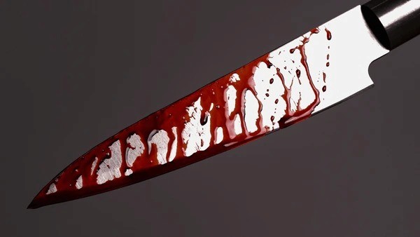 Photo:Gauteng MEC Matome Chiloane devastated by two fatal learner stabbings – South African Daily