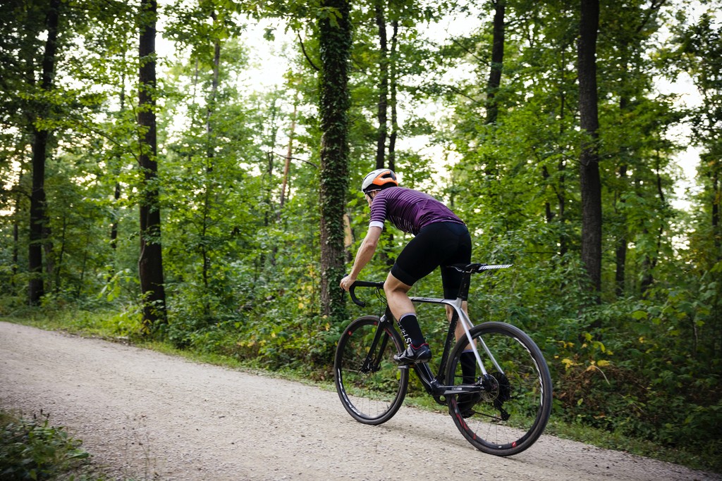 Person shown from behind biking in a forest.