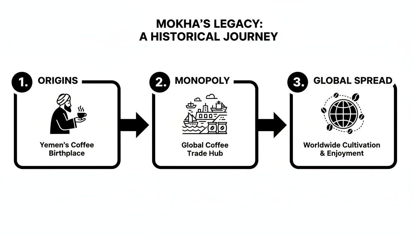 A timeline illustrating Mokha's coffee legacy: from Yemen origins to global trade and worldwide spread.