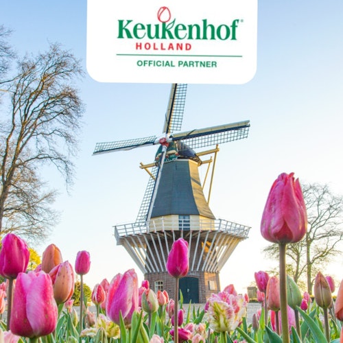 Keukenhof tickets in Lisse