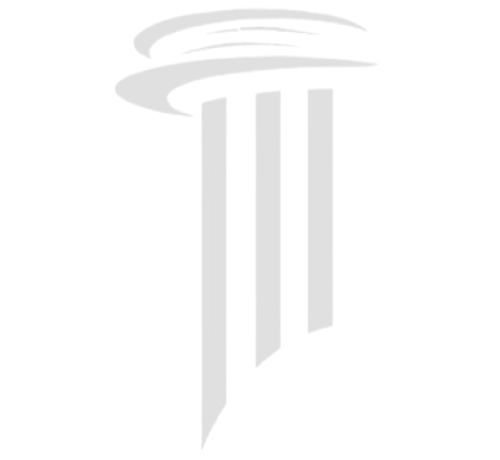 Logo MetaPonto