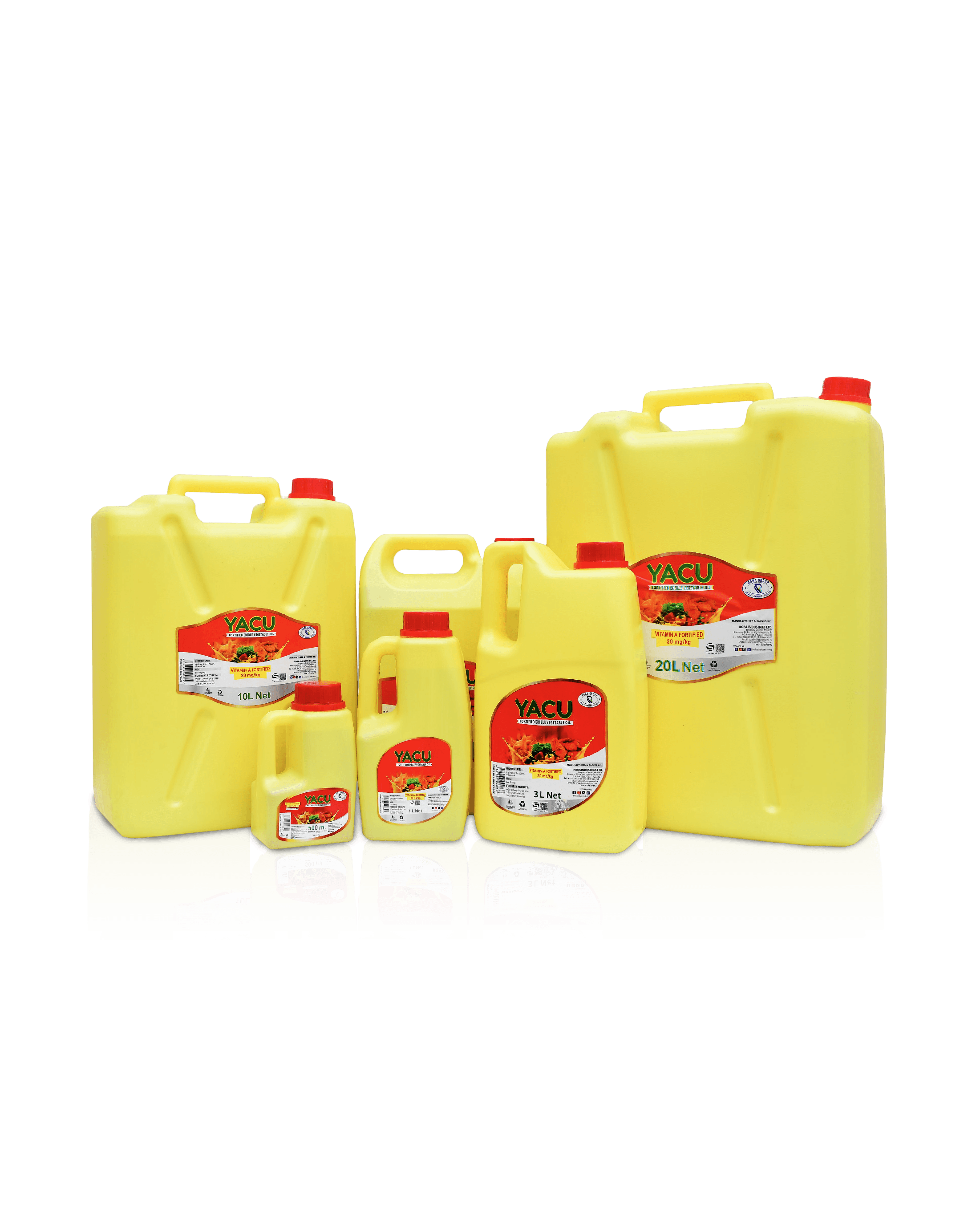 Agency Workspace Setup