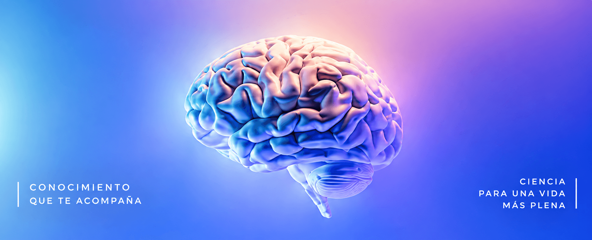 Neurociencia cognitiva y Neuropsicología