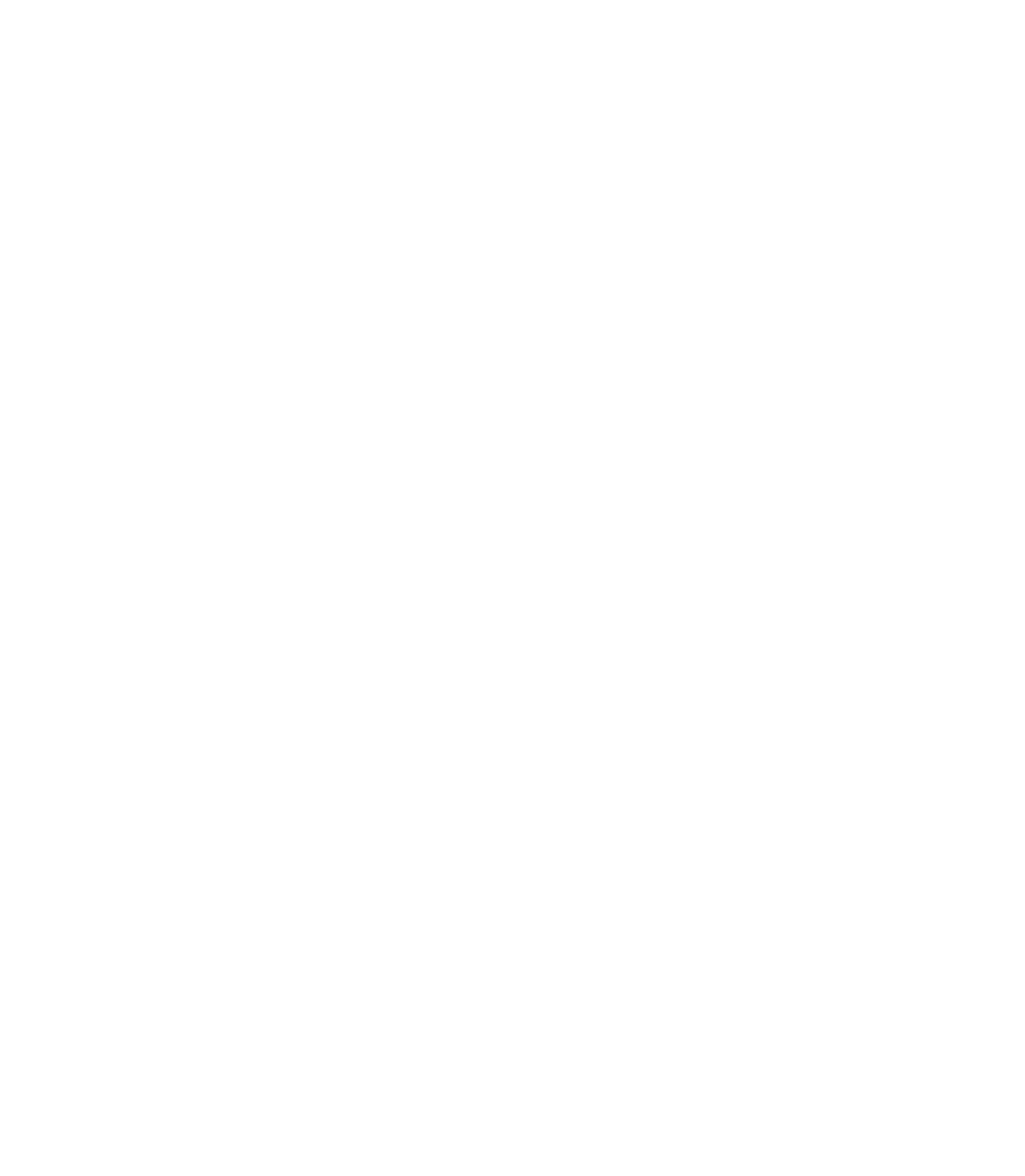 Social Icon