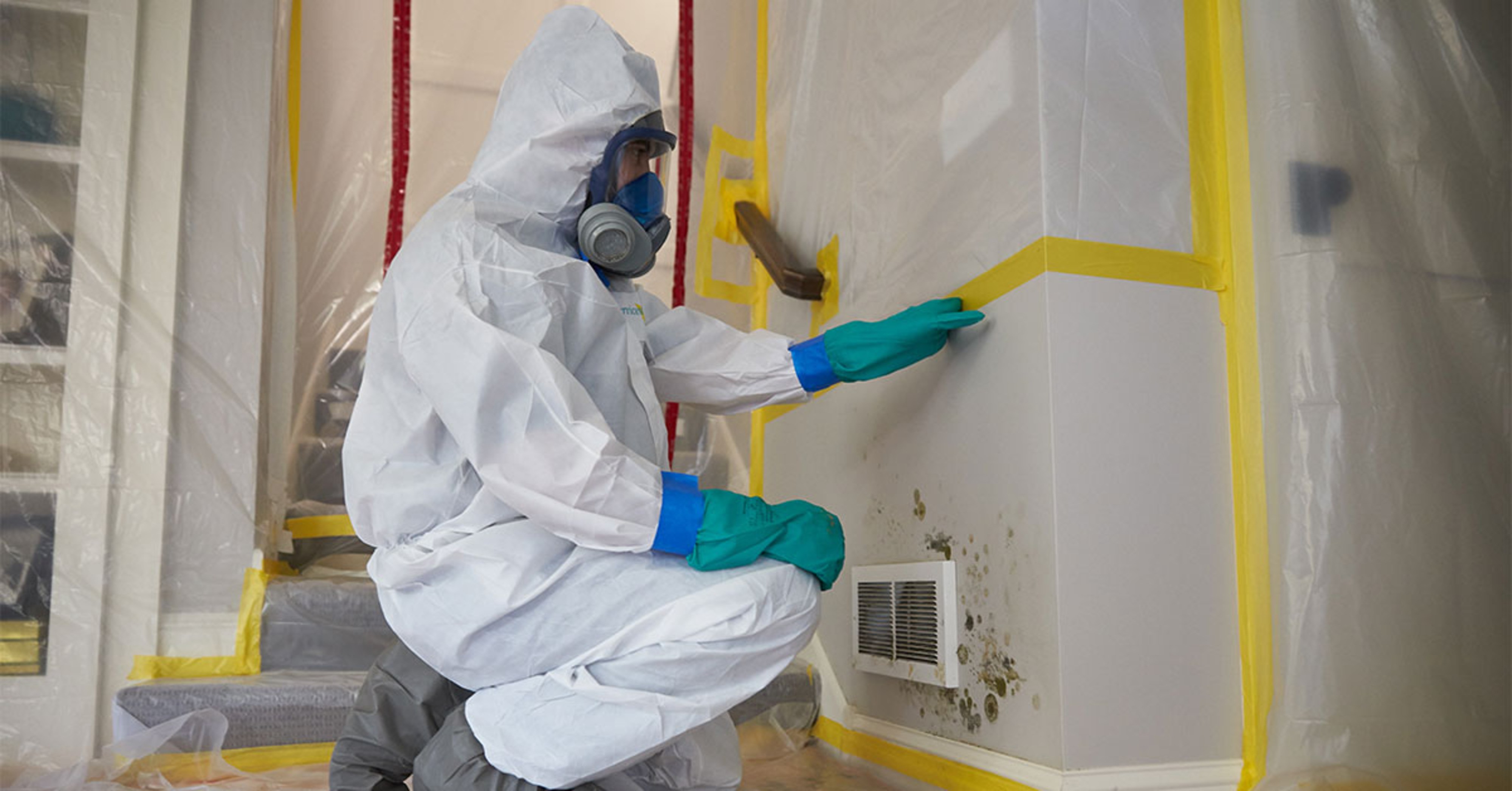 Benefits of Hiring Professional Mold Remediation Services