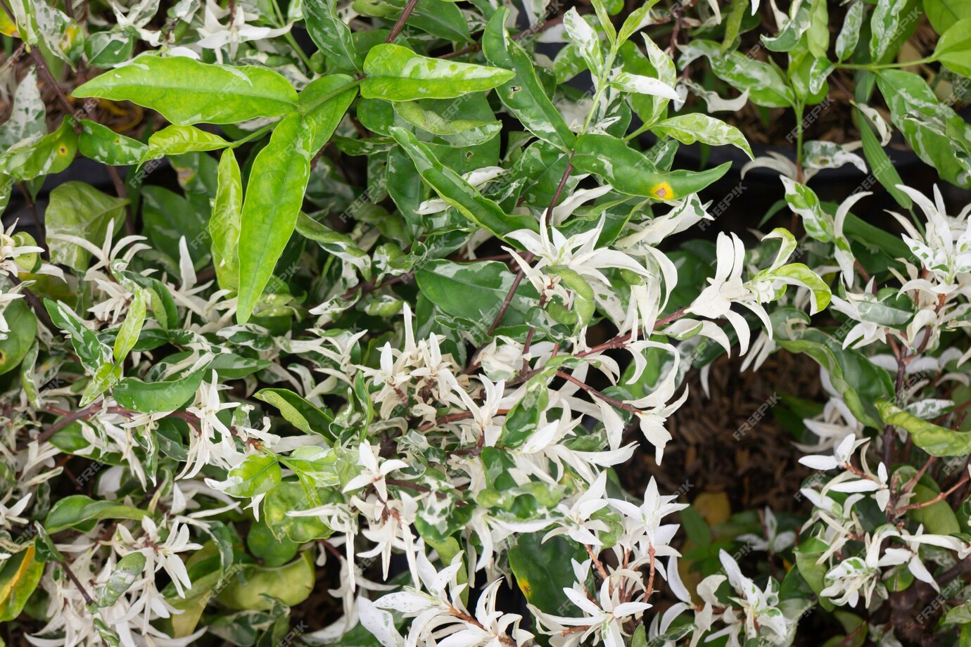 太陽能光伏發電系統工程 可再生能源系統 太陽能系統服務 可再生能源上網電價計劃 村屋太陽能發電系統 太陽能解決方案 太陽能發電系統 零投資太陽能計劃 太陽能安裝 太陽能維護 香港太陽能 太陽能公司 太陽能供應商 太陽能專家 綠色能源解決方案 商業太陽能 村屋太陽能 太陽能工程 天台太陽能工程 裝太陽能要多少錢 香港沒有哪種可再生能源 太陽能自用 需要申請嗎 違建可以裝太陽能板嗎 太陽能光伏系統安裝指南 太陽能板小型工程 安裝太陽能板壞處 安裝太陽能板費用 太陽能板安裝方法 太陽能板安裝指引 安裝太陽能板注意事項 村屋太陽能板屋宇署