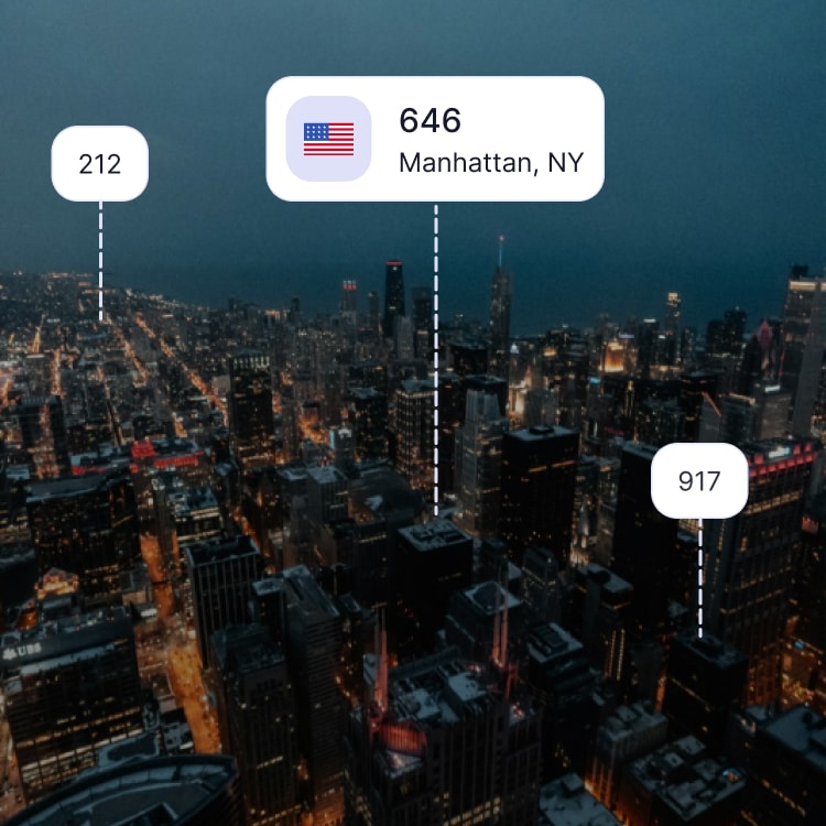 City skyline of Manhattan showing the 646 area code and surrounding area codes