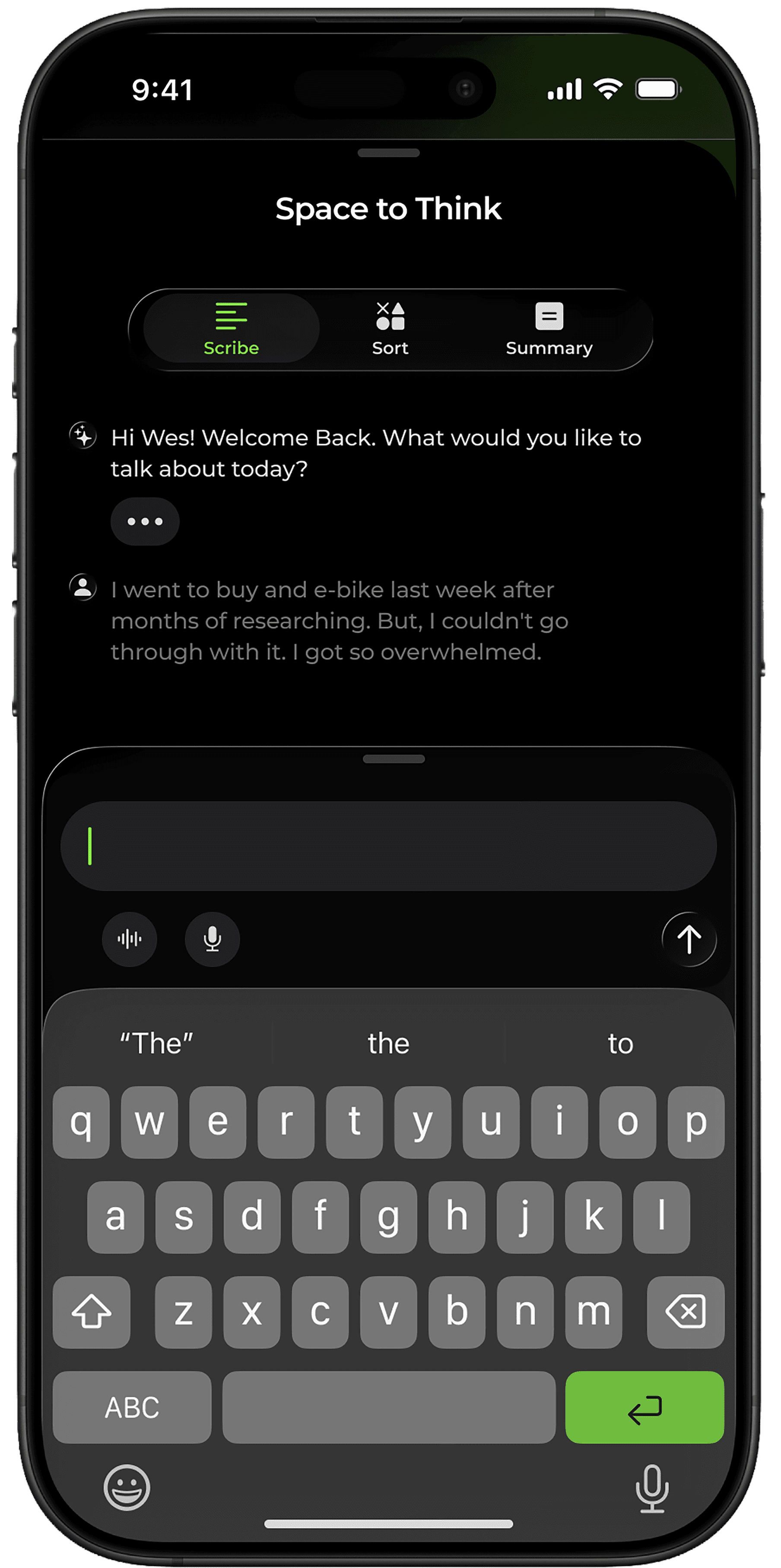 "Scribe" screen. It is a transcript of the conversation, just like text messaging.