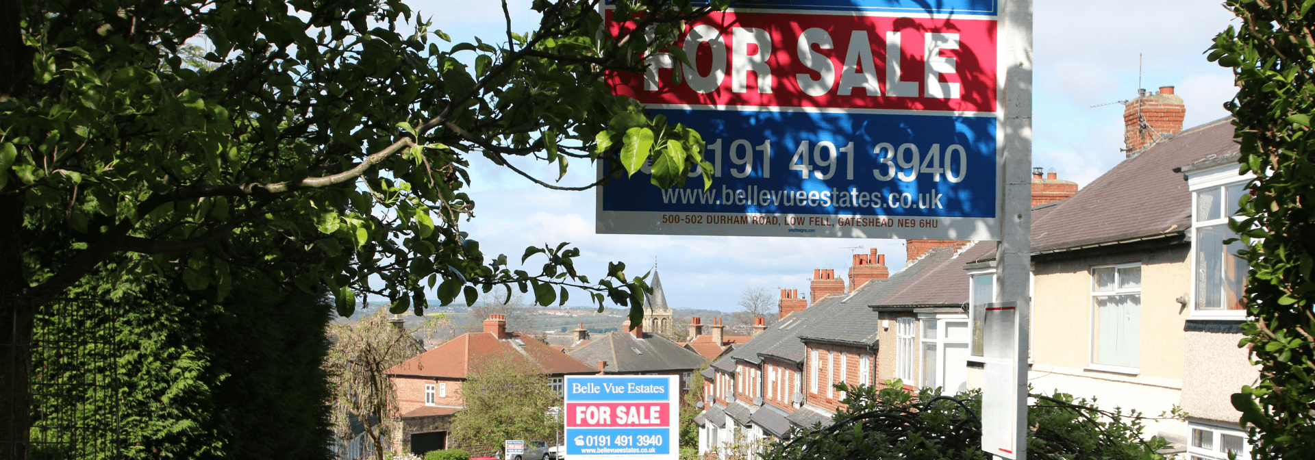 modern sculptural building with curved wooden exterior