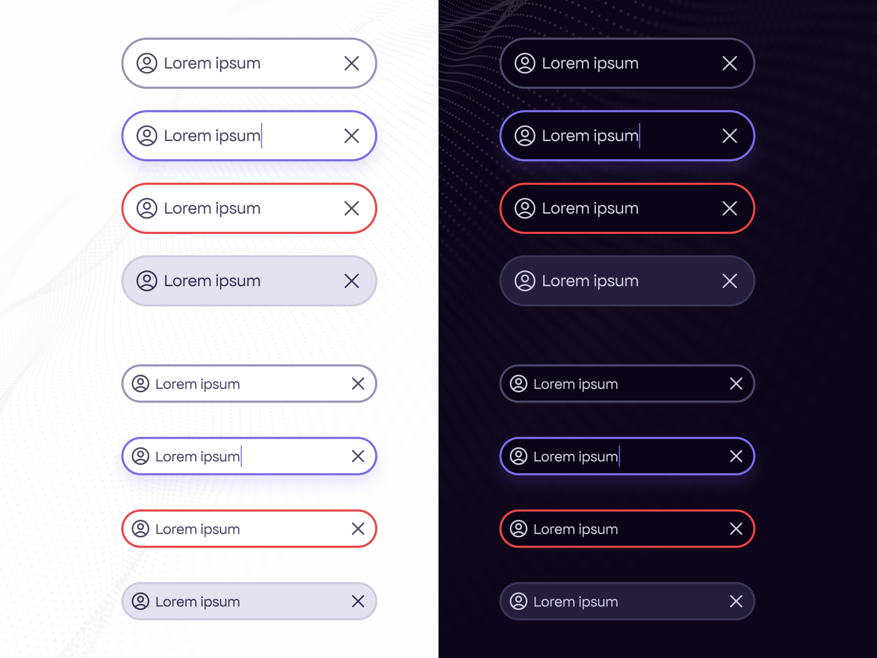Form input designs, displaying each states, including default, focus, error and disabled, in both light and dark mode