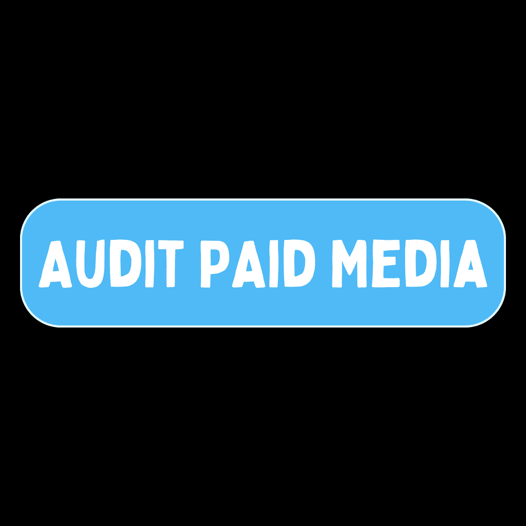 Audit Paid Media