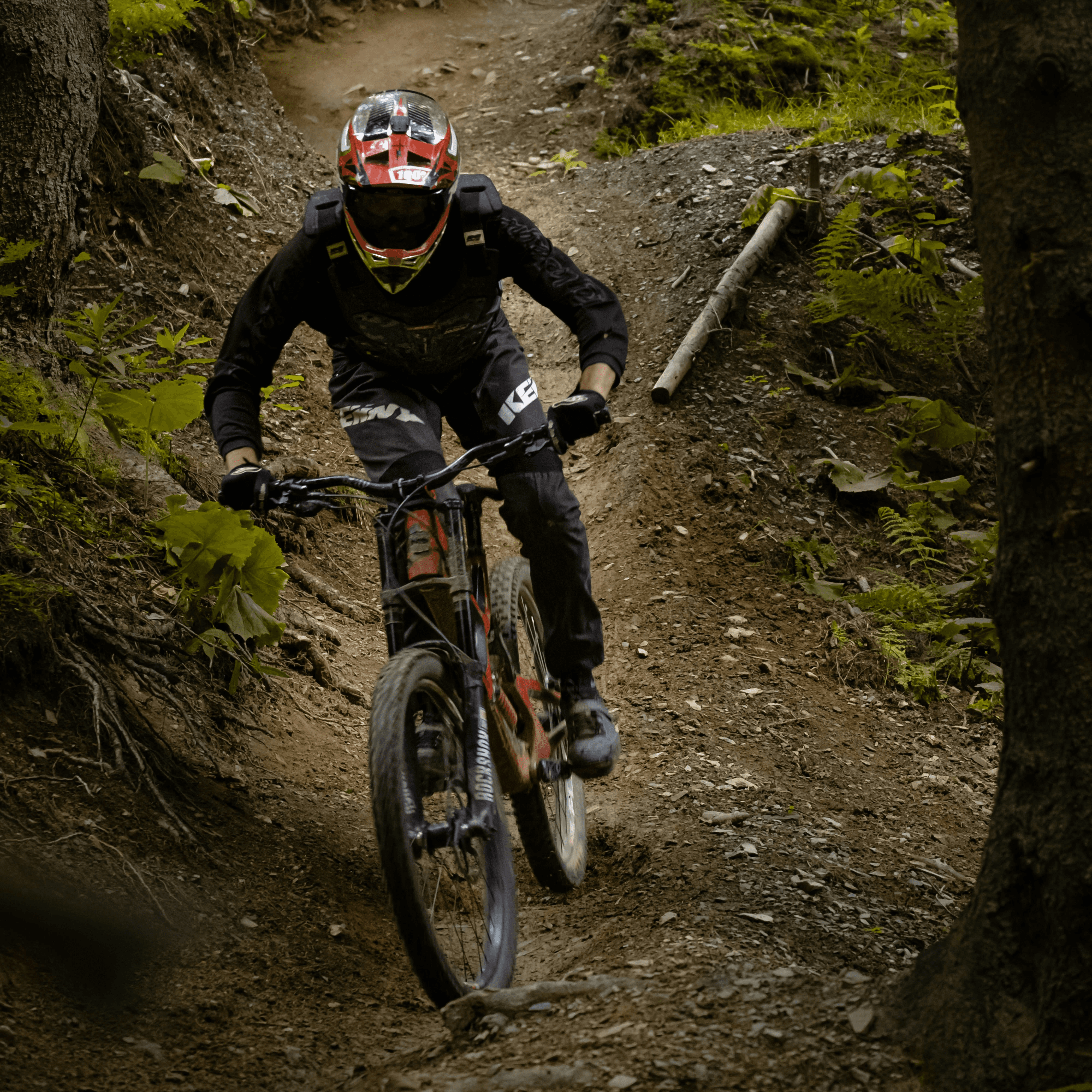 downhill bike in beech mountain