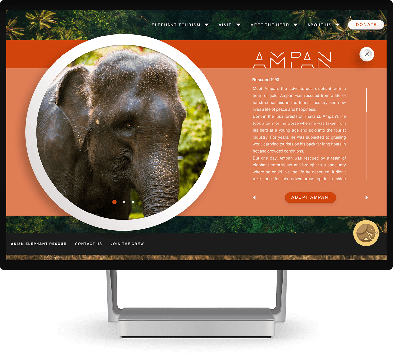 A desktop computer showcasing an elephant's bio alongside a captivating image, designed to engage users and build a meaningful connection through compelling content and visuals.