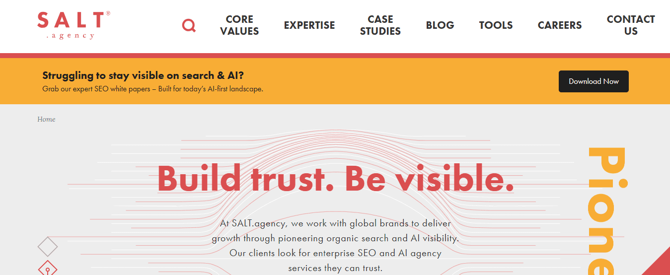 salt agency - Technical SEO Agencies