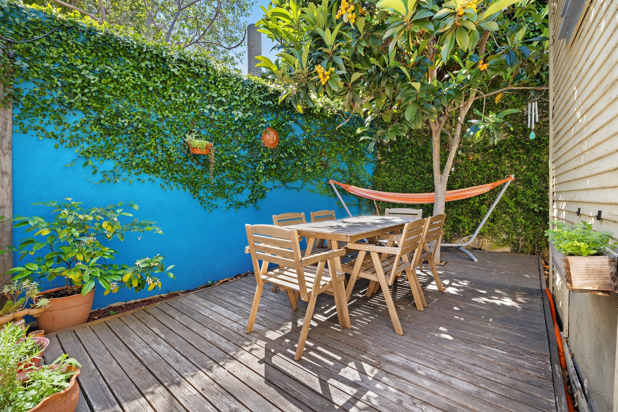 A cozy outdoor patio at 3456 plata, with a wooden table, surrounded by green plants and a vibrant blue wall.