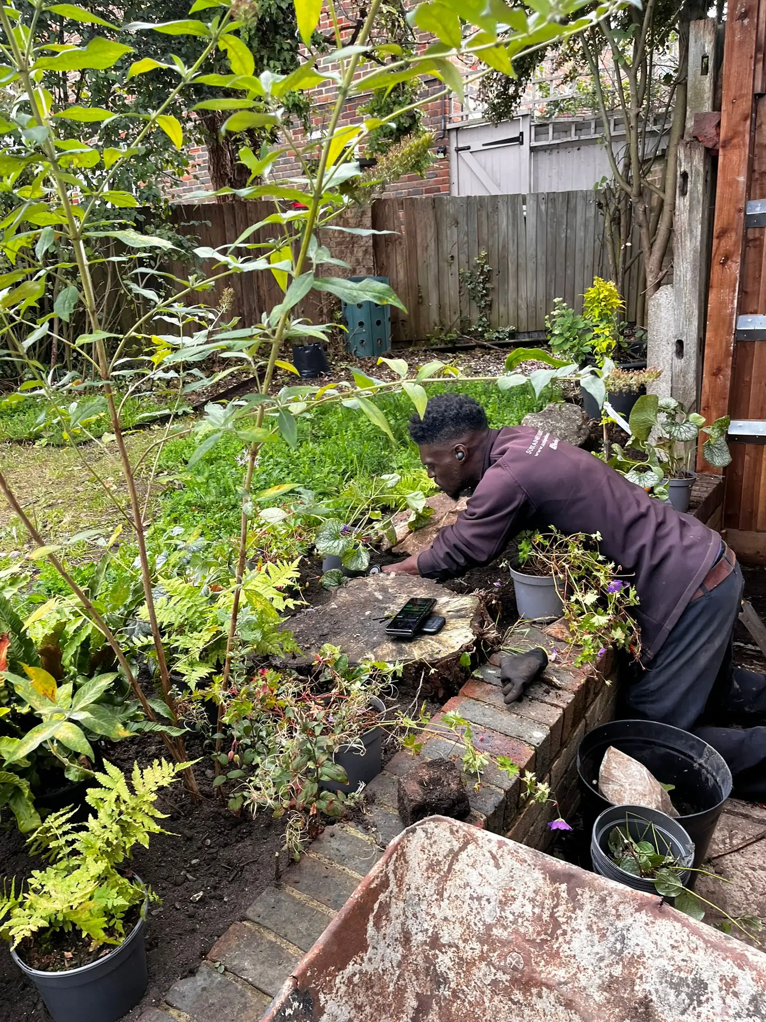 A person tends to plants in a lush garden, surrounded by greenery and garden tools.