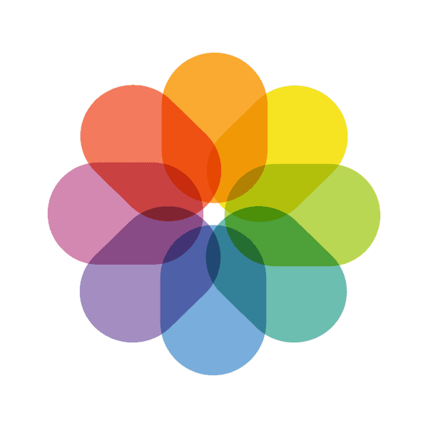 Integration Image
