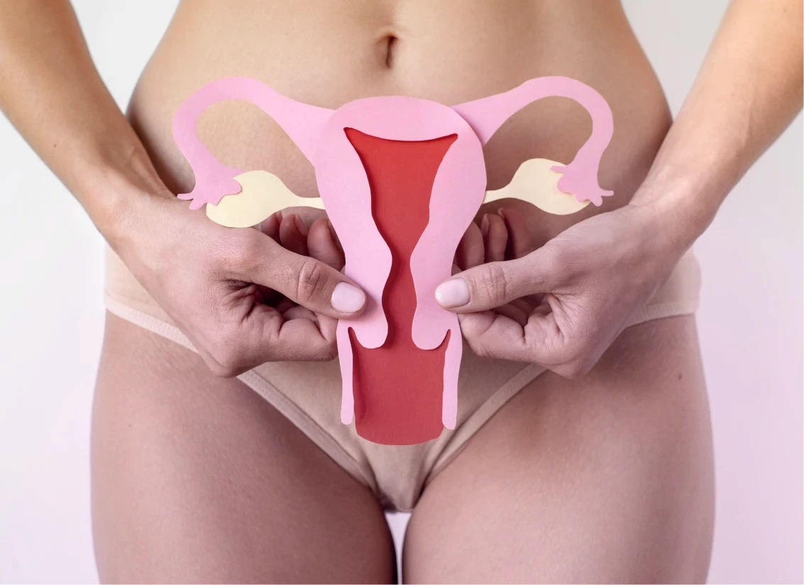 Mulher segurando modelo de útero sobre o abdômen representando trompas obstruídas