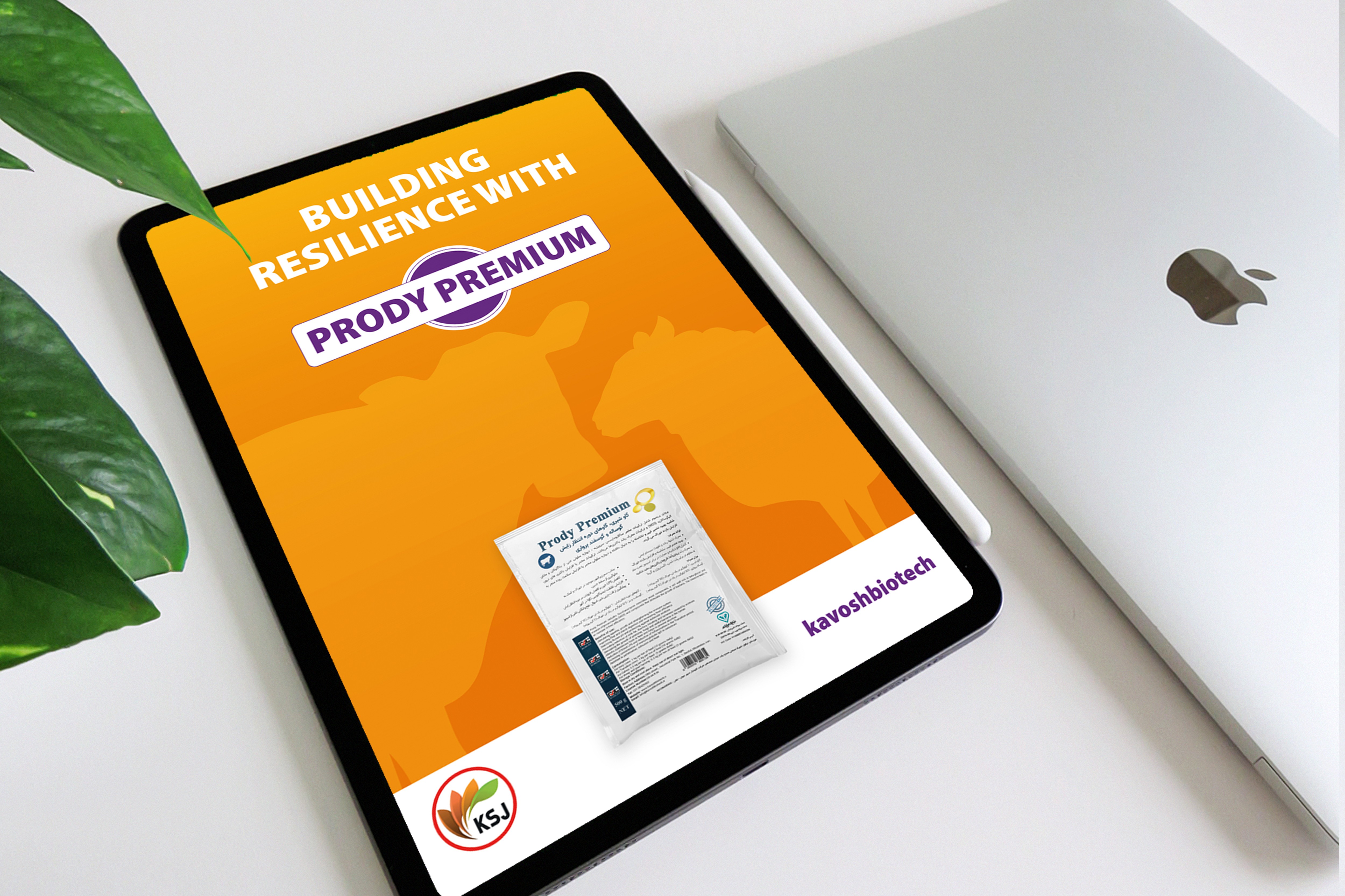 PRODY Premium Brochure