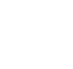 Nozomi Networks logo