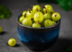 Amla a great antioxidant available in the Indian diet
