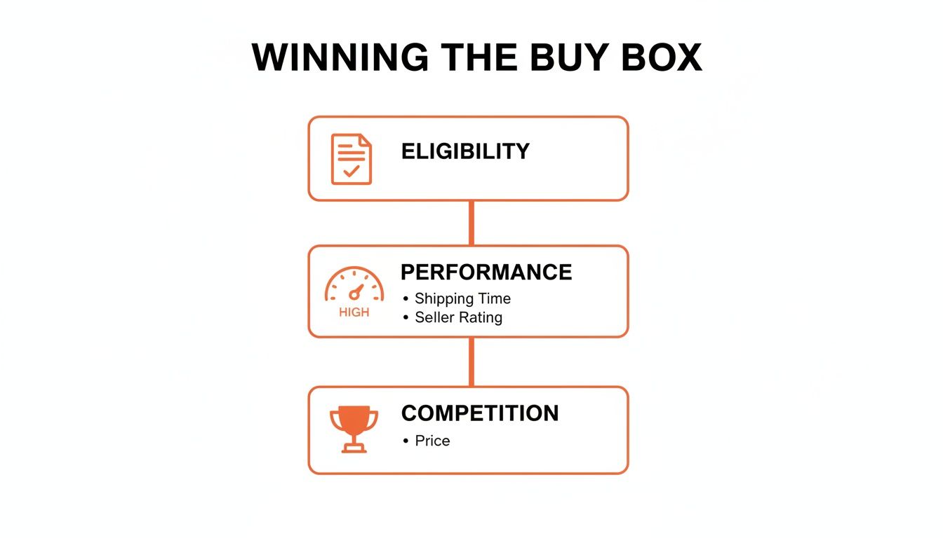 Flowchart illustrating the three main steps to winning the Buy Box: Eligibility, Performance, and Competition.