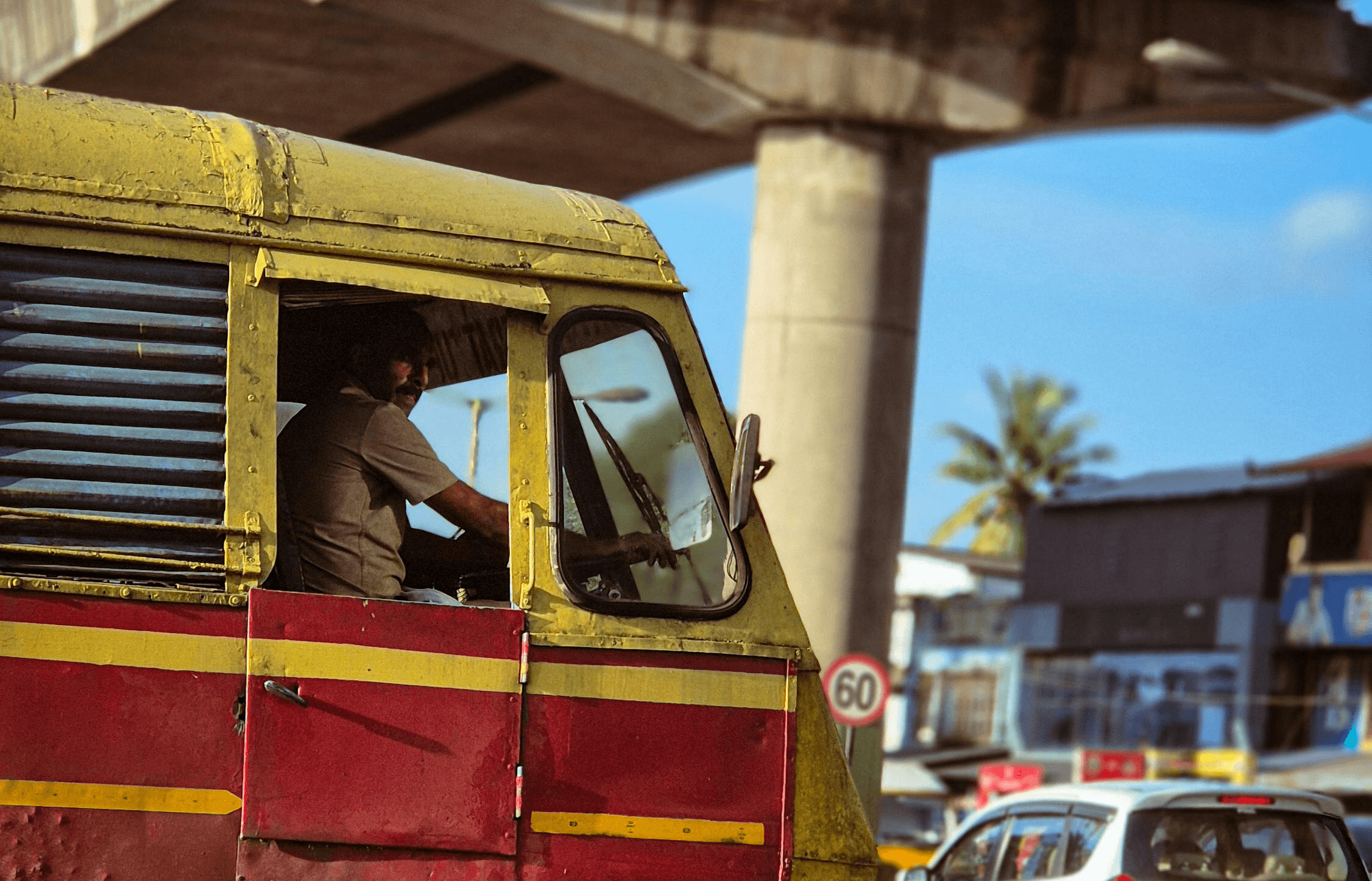 man in blue and white plaid button up shirt holding green plant