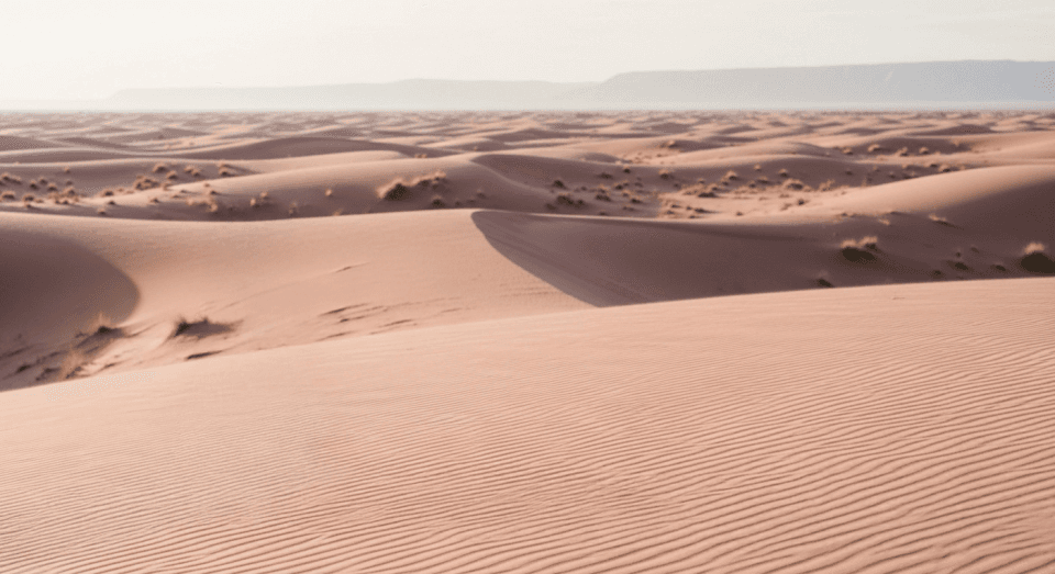 Vast golden desert landscape with rippled sand dunes, scattered dry shrubs and distant mountain ridge under hazy sky, serene Sahara wilderness panorama