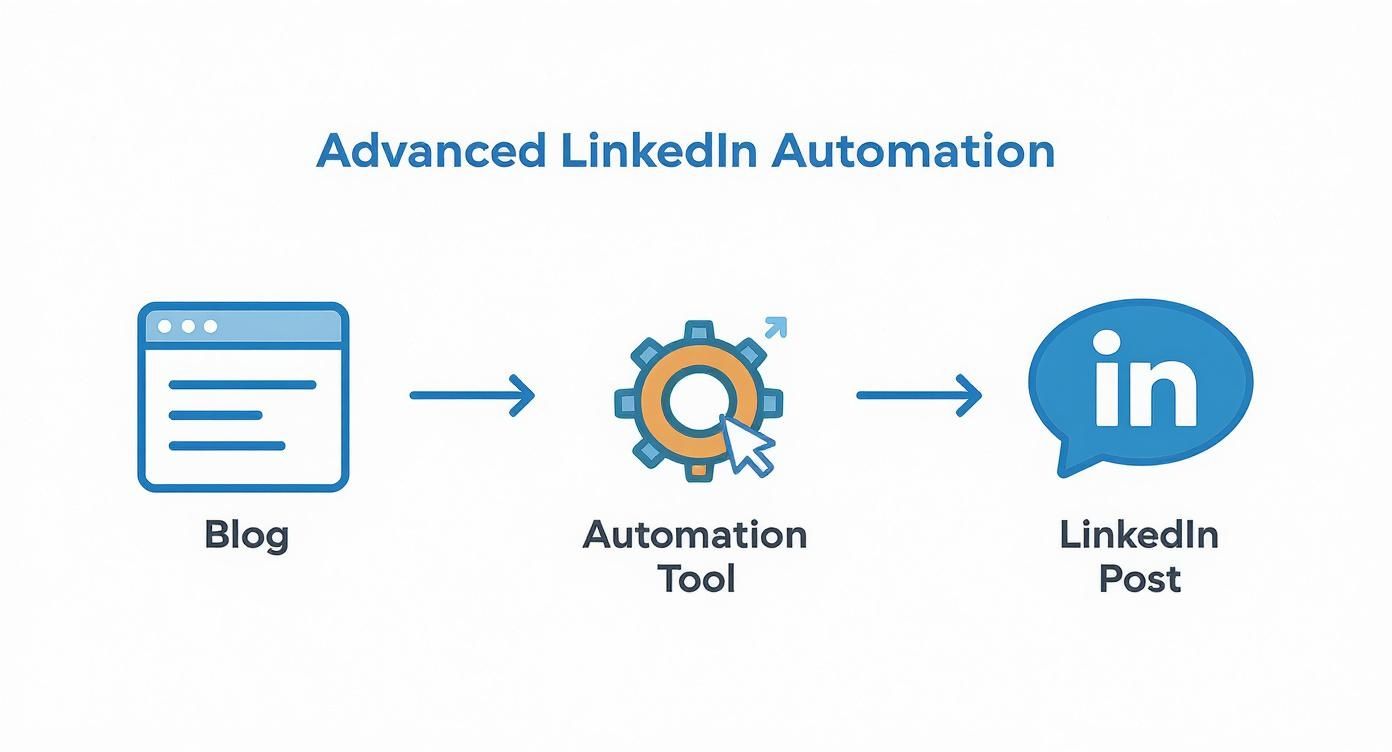 Infographic about schedule linkedin posts automatically