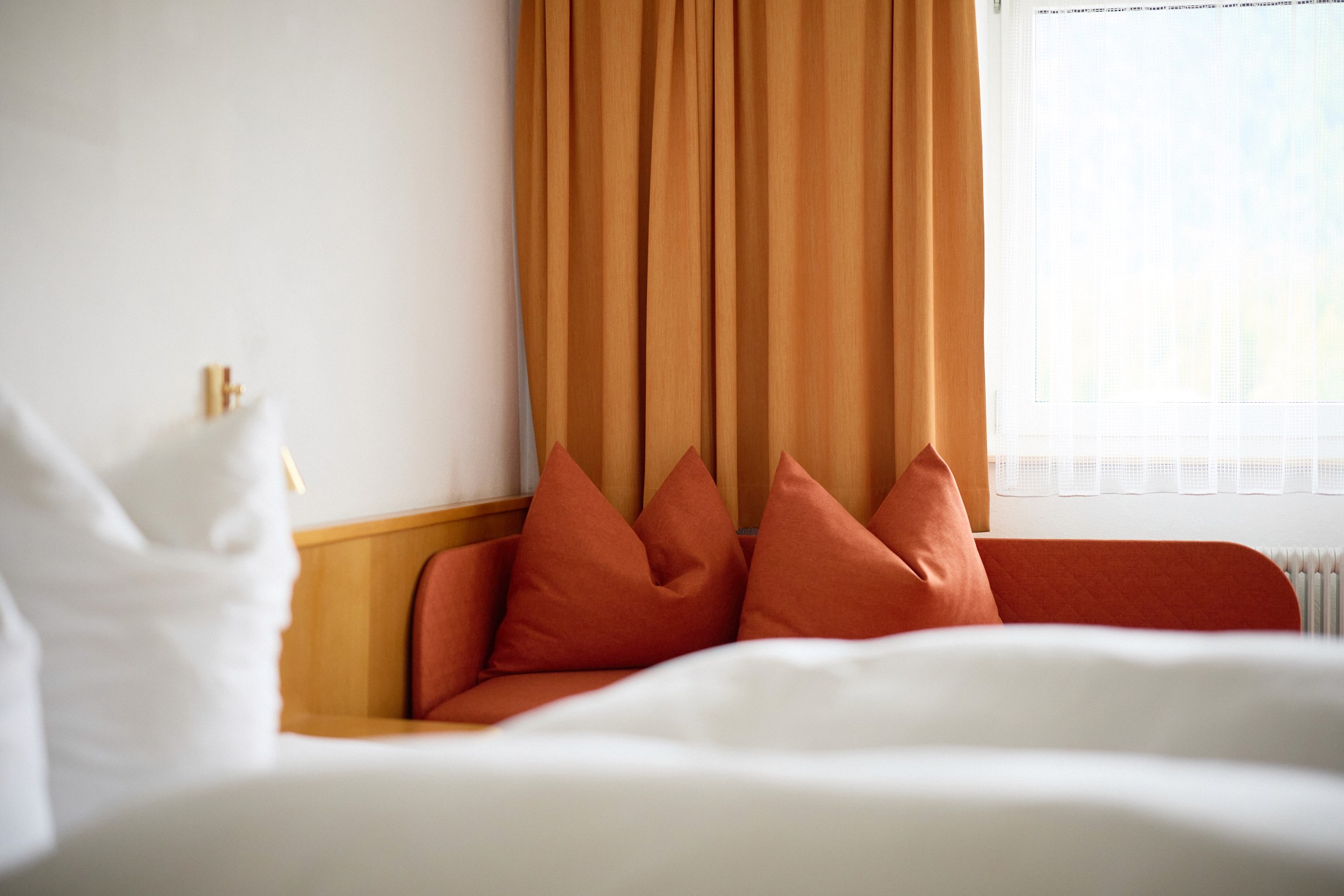 horse with foggy background