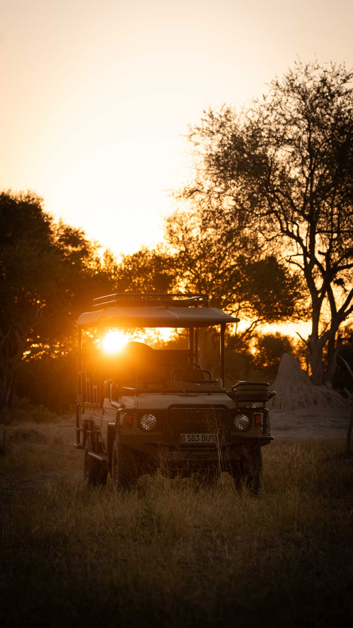 jeep in safarai