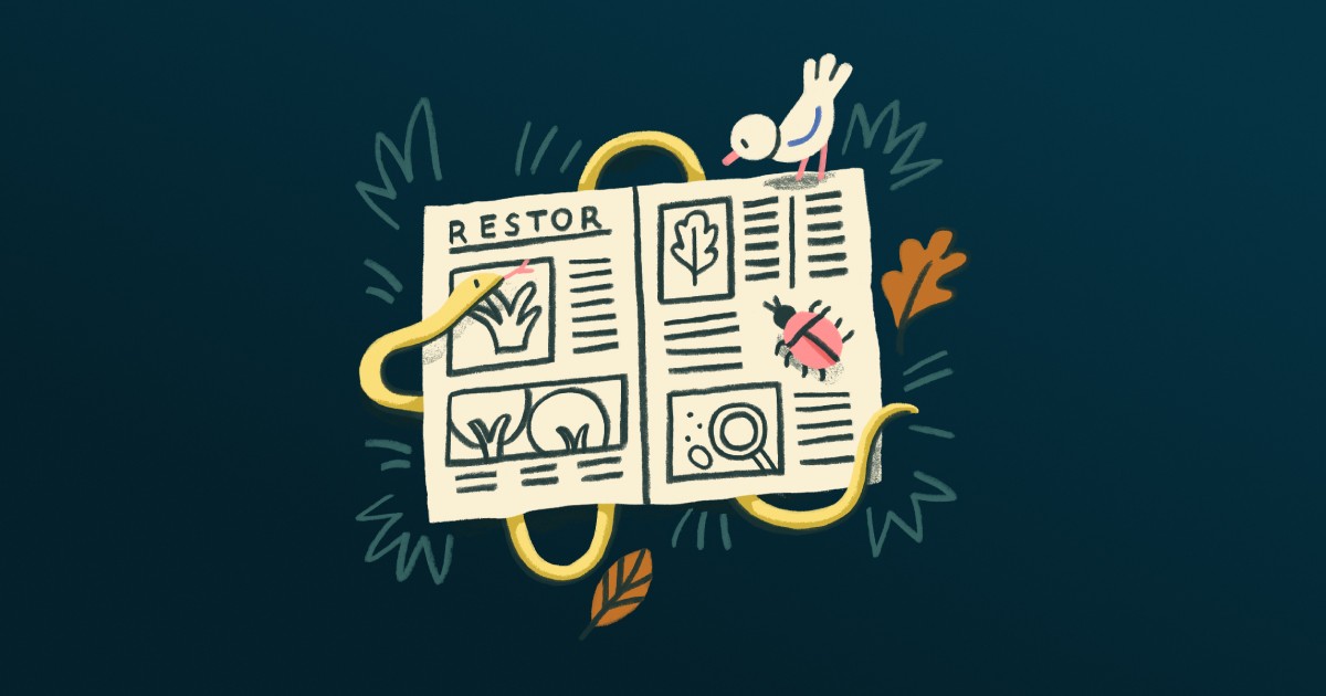 About Us | Restor.eco