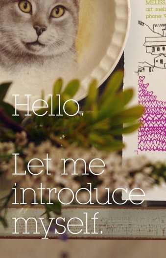 Melissa Gorman 2012 introduction post