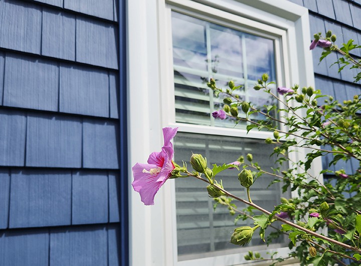 window and siding