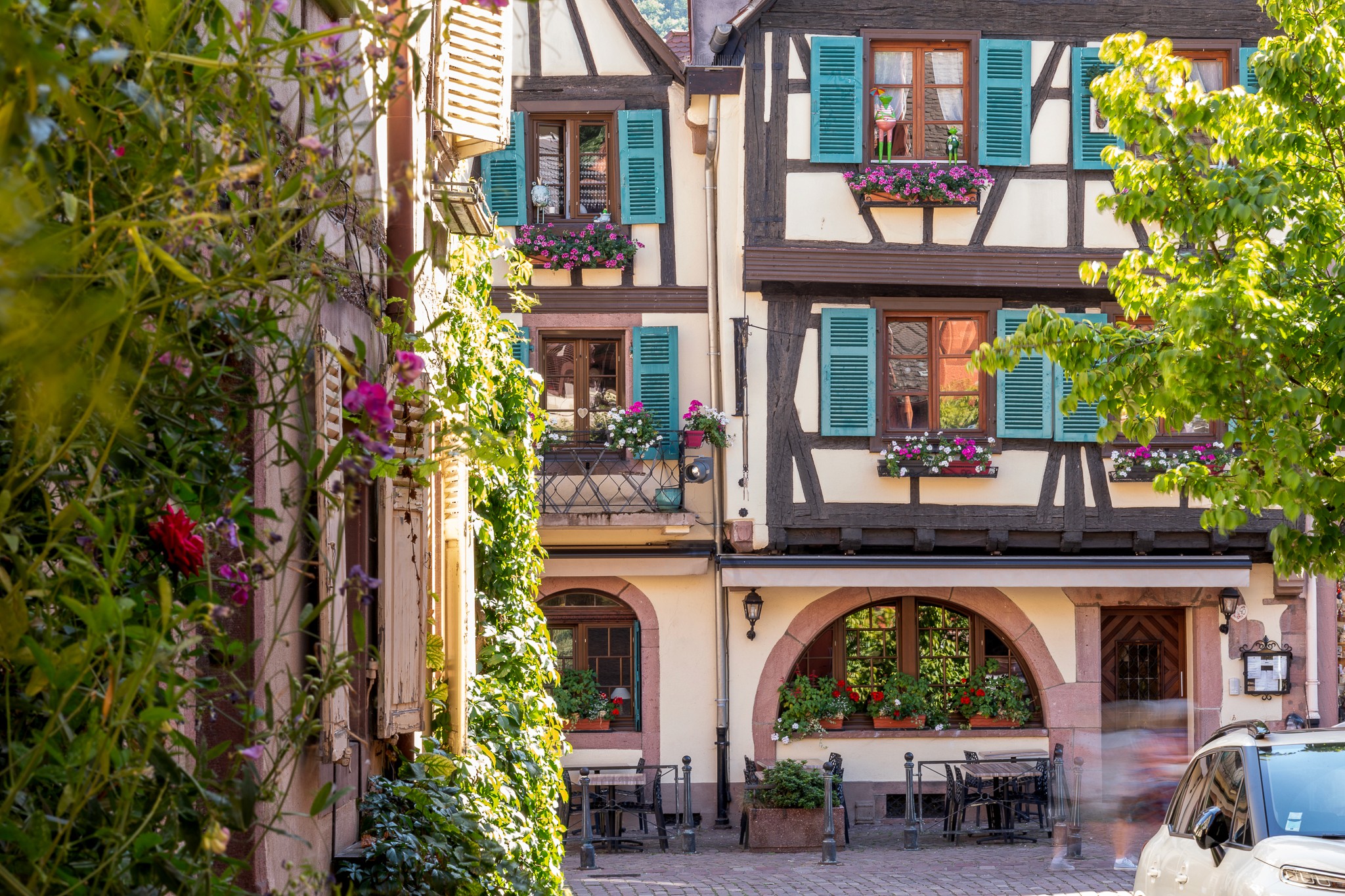 Elegant private dining area with long wooden table and warm lighting.