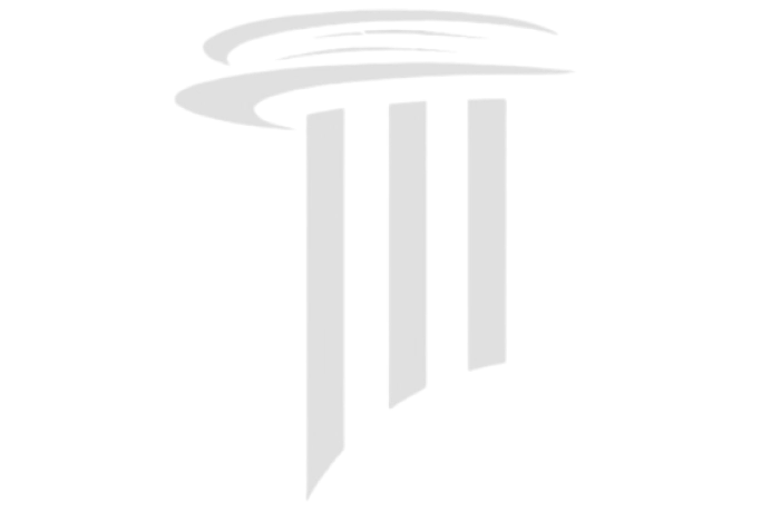 Logo MetaPonto
