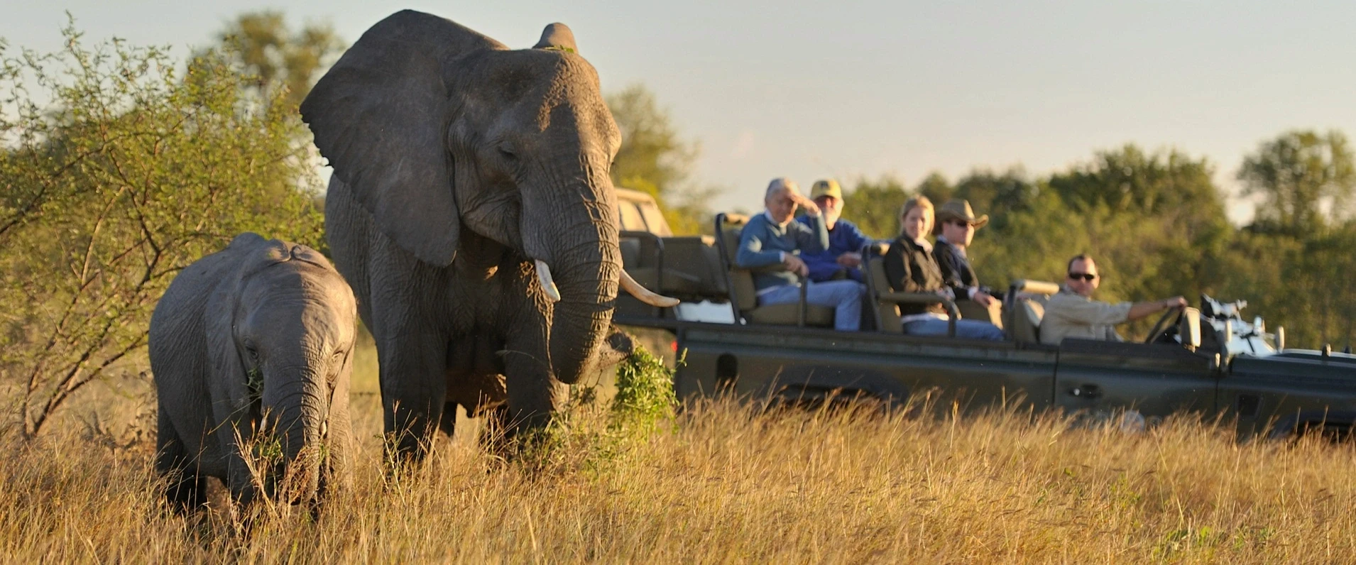 South Africa Tour Package 11 Nights 12 Days