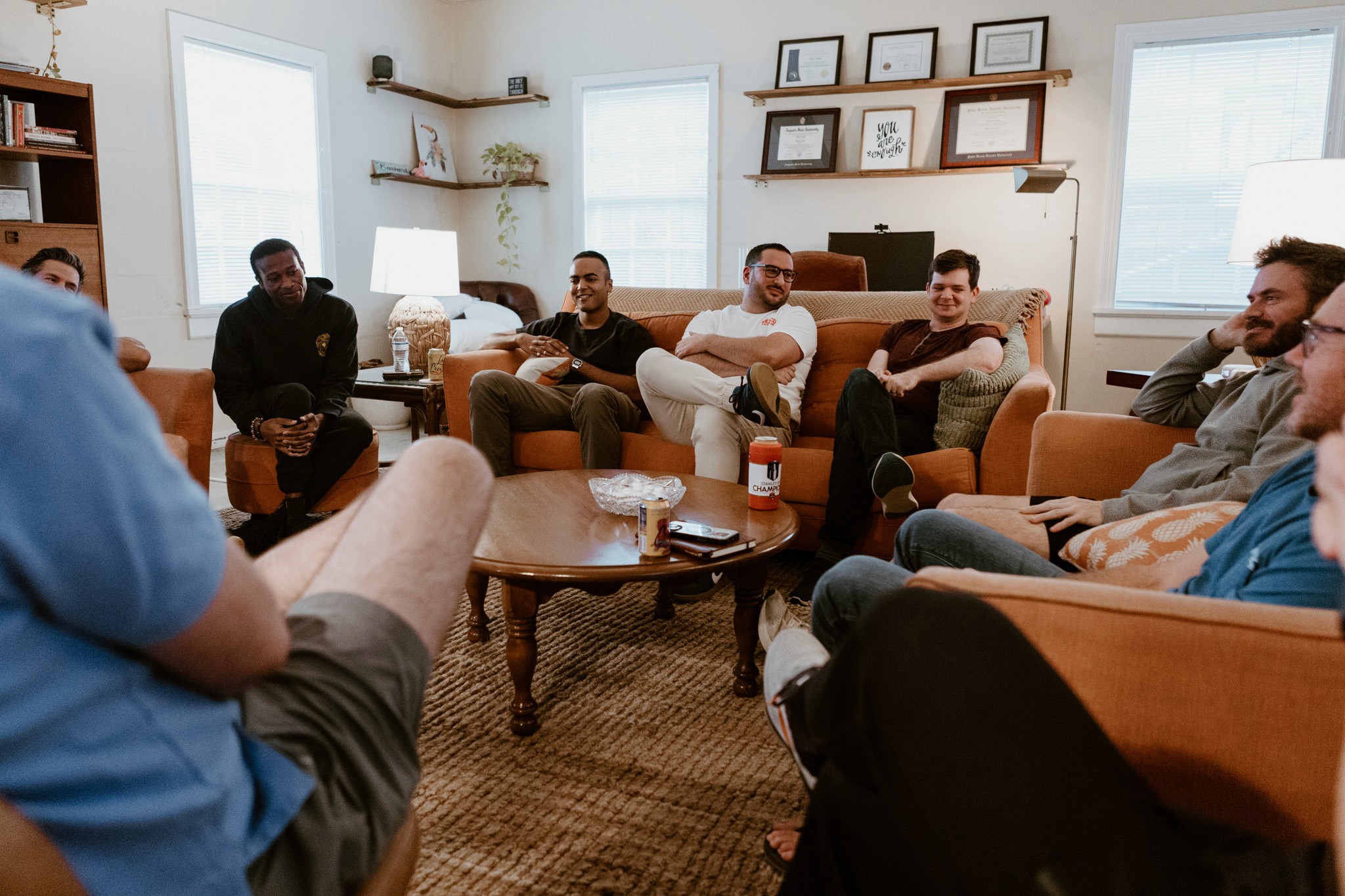 aerial shot of forest