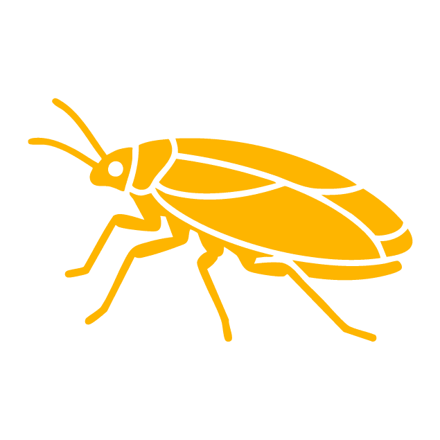 Feature Icon