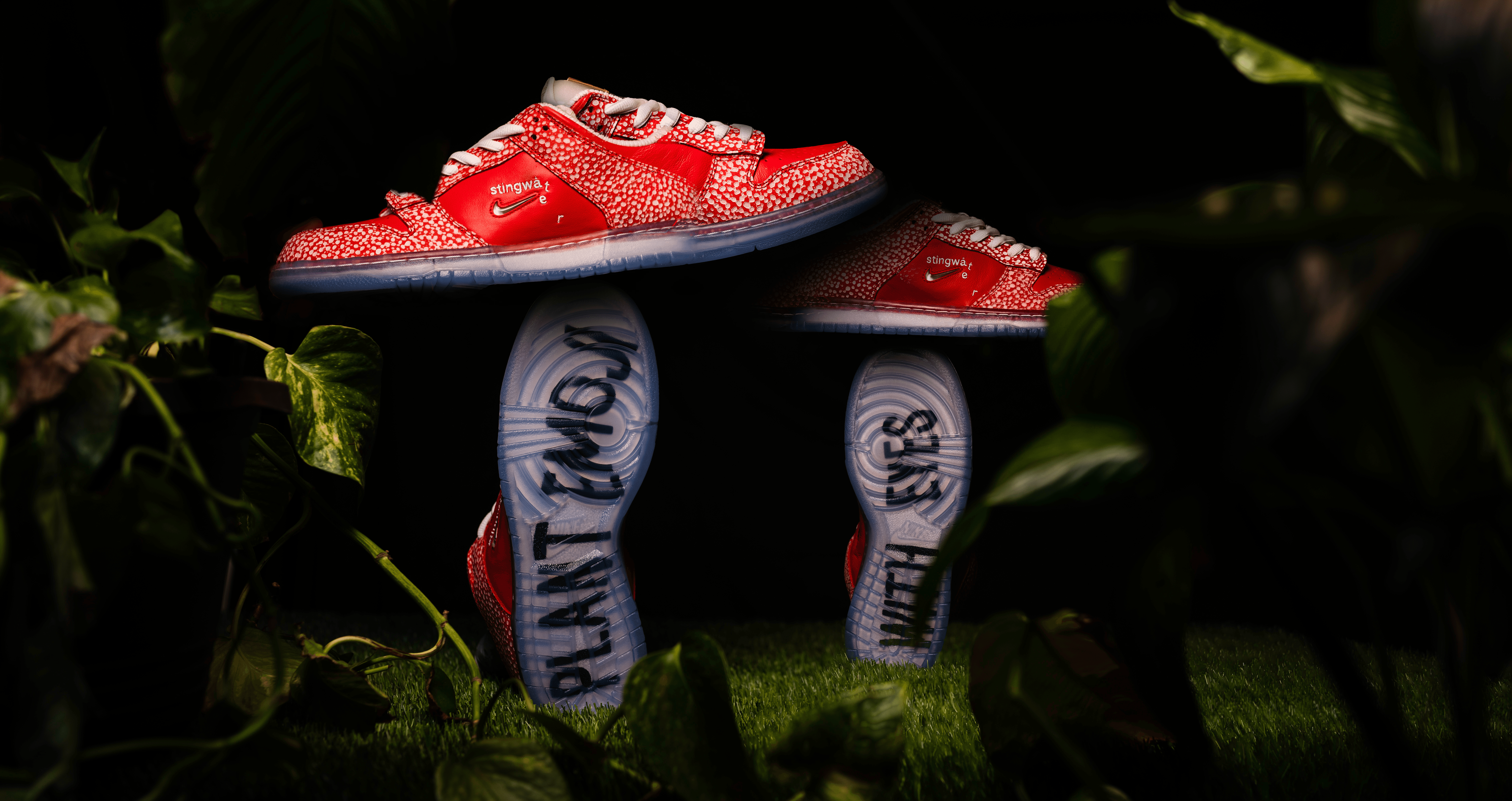 Hiyo Group Product Shot