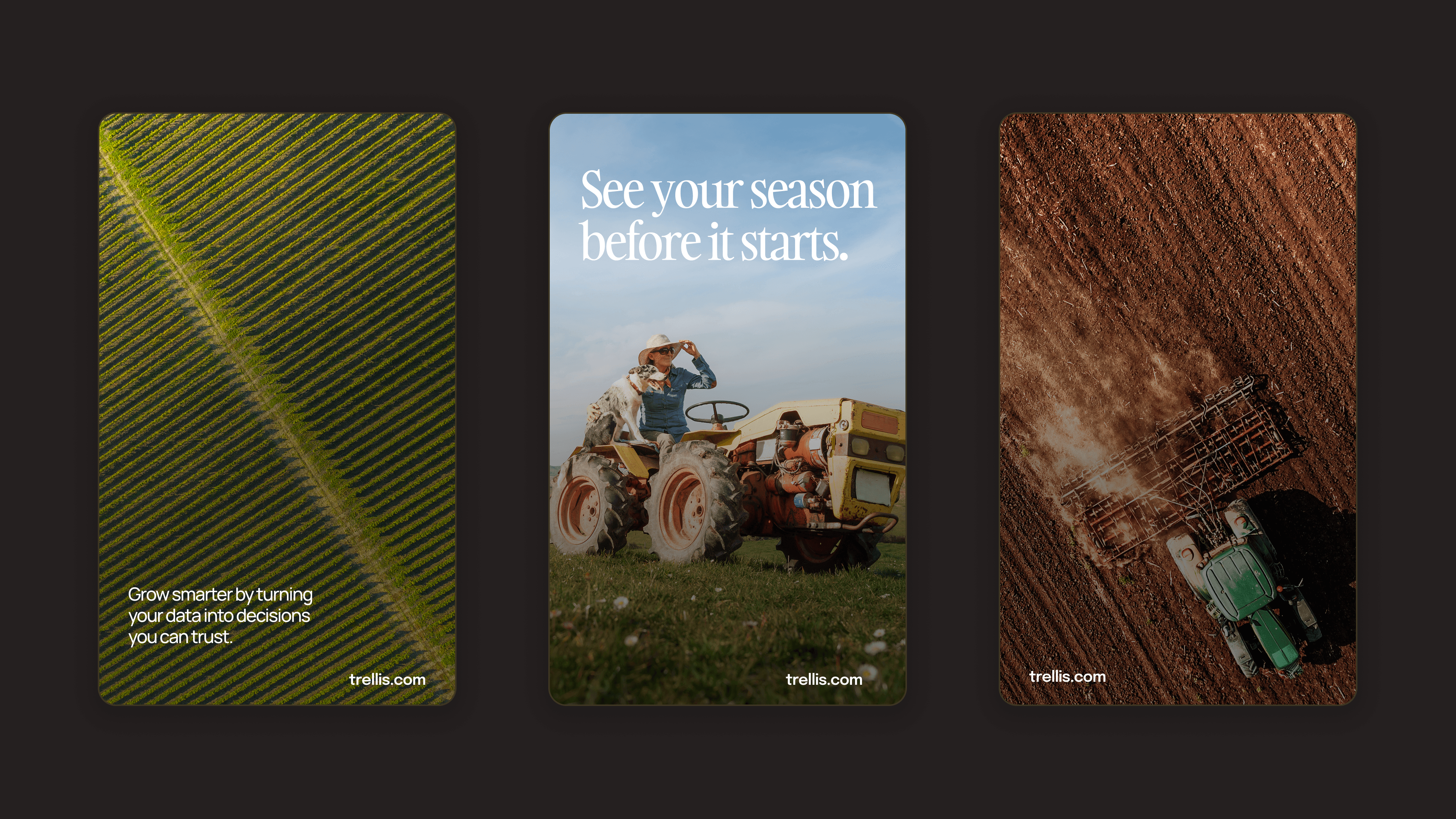 Large Project Gallery Image #2