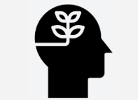 Service Icon