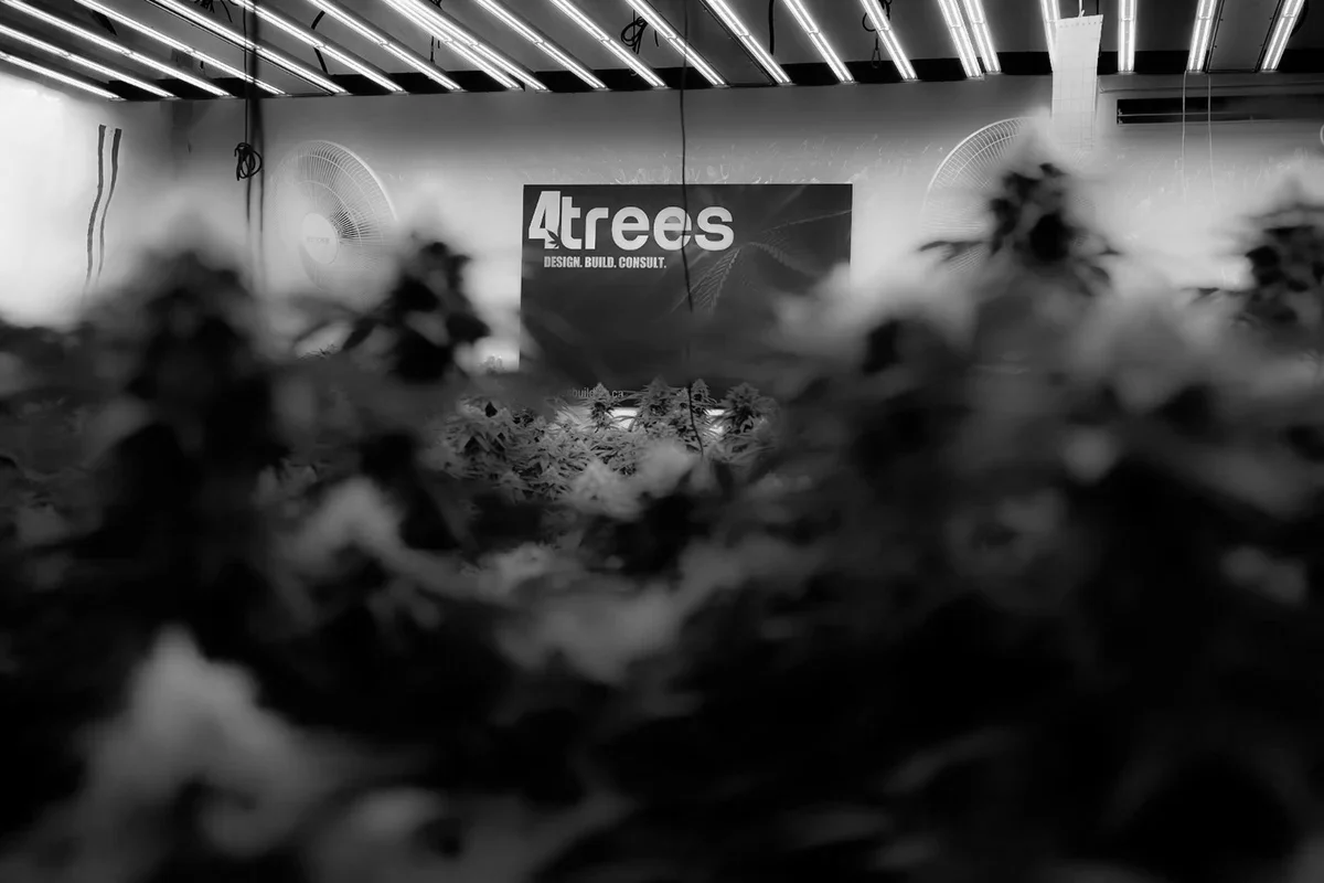 Indoor Grow room with 4trees Cannabis Building Sign